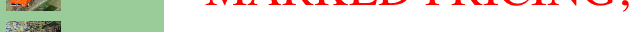 item1
